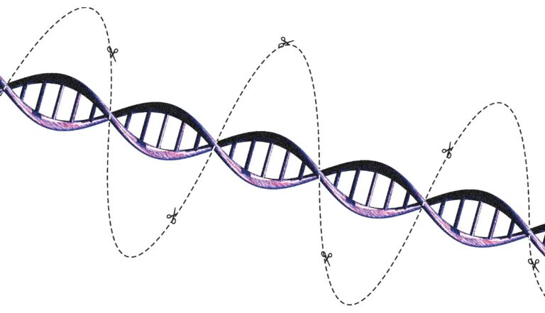 Fotomontagem representando a edição de genes.